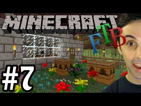 Feed The Beast (007) - Special Delivery & More Bee Stuff :)