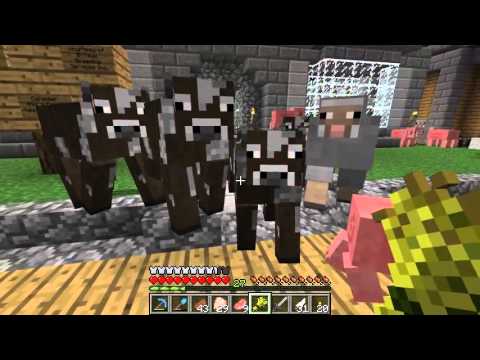 Etho MindCrack SMP - Episode 74: Overstocked Pet Shop