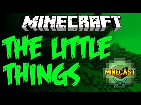 The Little Things - Minecast Ep. 11