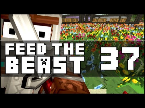 Minecraft Feed The Beast w/ KingDaddyDMAC – Episode 37: Magic Bushes ...