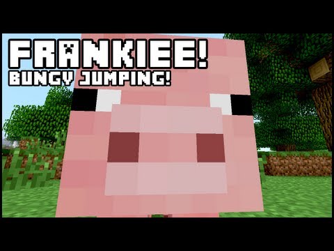 Minecraft - Pig Bungy Jumping!