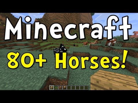 Minecraft Map Seed - 80+ Horses at Spawn! HORSES GALORE!