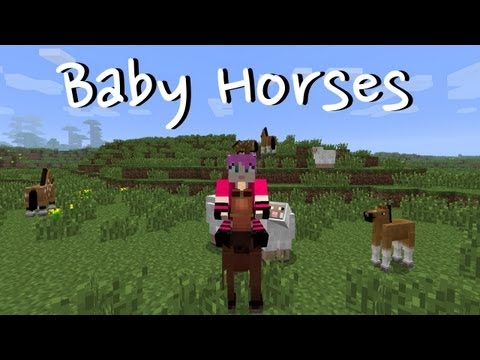 Minecraft: Baby Horses!
