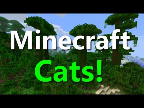 Minecraft Snapshot: Cats (Ocelot), Fire Charge, Bottle o' Enchanting!