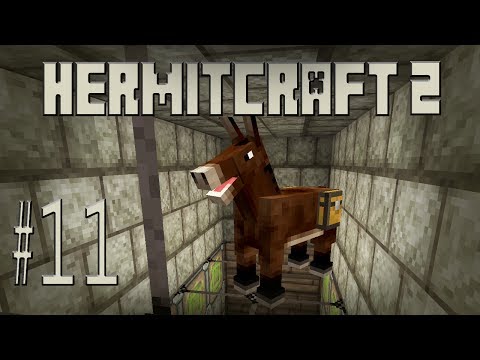 Monkeyfarm's Ass Shop - HermitCraft #11