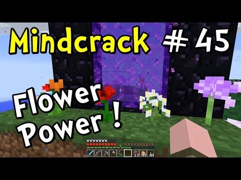 Mindcrack S4E45 