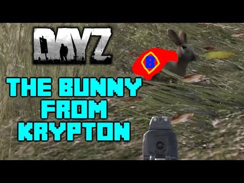 DayZ Oddities - Part 2 - The Bunny From Krypton