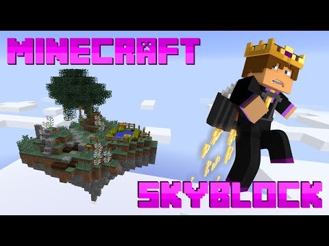 Minecraft: Skyblock Server #11 - EPIC DRAGON BATTLE!