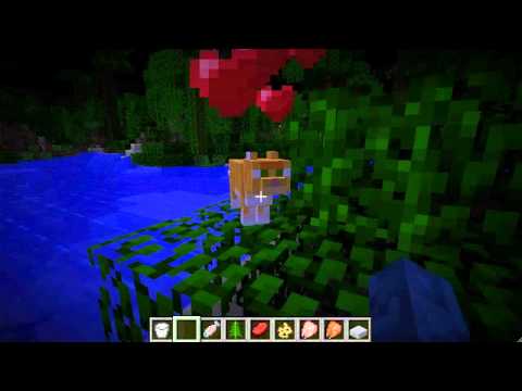 Tame Ocelot with Raw Fish! (Minecraft 12w04a)