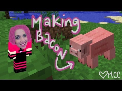 How to Make a Minecraft Pig: An Animation