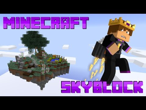 Minecraft: Skyblock Server #15 - A WILD BLAZE APPEARED!