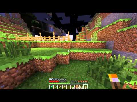 WtfMinecraft Plays Minecraft [Episode 6] - Hunger