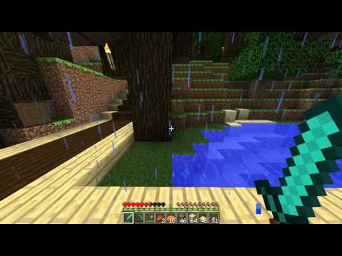 WtfMinecraft Plays Minecraft [Episode 7] - The chickens
