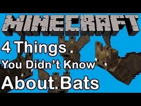 4 THINGS YOU DIDN'T KNOW ABOUT BATS IN MINECRAFT!