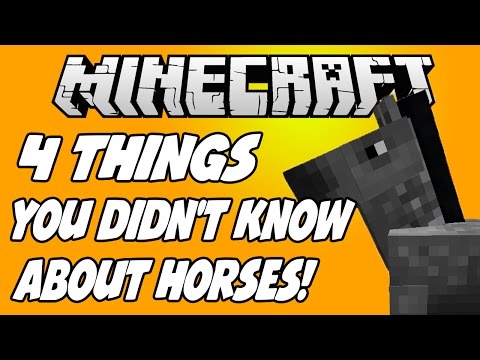 4 THINGS YOU DIDN'T KNOW ABOUT HORSES IN MINECRAFT