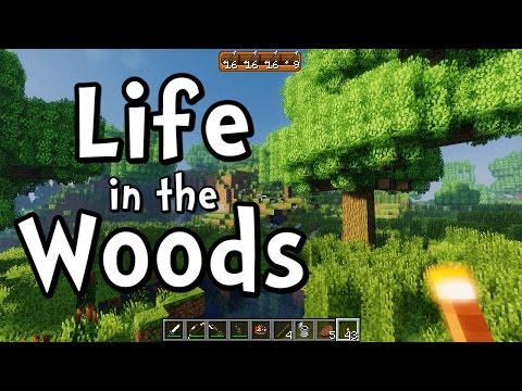 Minecraft - Life in the Woods Modpack