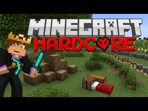 Hardcore Minecraft #12 - MUCH DIAMONDS!