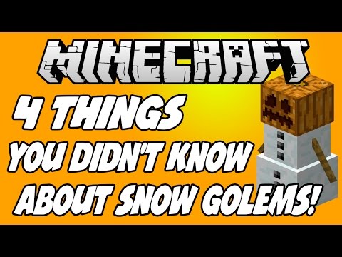 ✔ 4 THINGS YOU DIDN'T KNOW ABOUT SNOW GOLEMS!