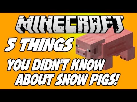 ✔ 5 THINGS YOU DIDN'T KNOW ABOUT PIGS!