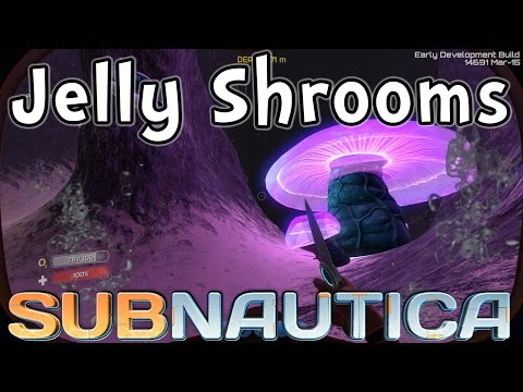 Subnautica - Pets and Jelly Shrooms! (1080p60 Gameplay / Walkthrough)
