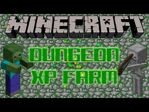 Dungeon XP Farm Tutorial