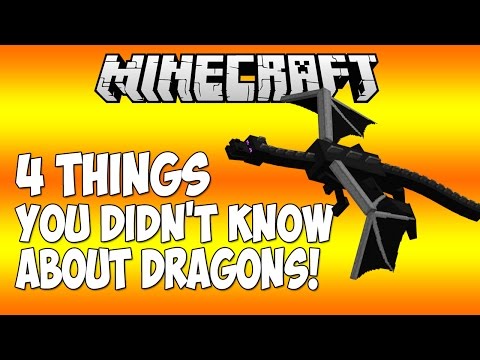 4 THINGS YOU DIDN'T KNOW ABOUT THE ENDER DRAGON IN MINECRAFT