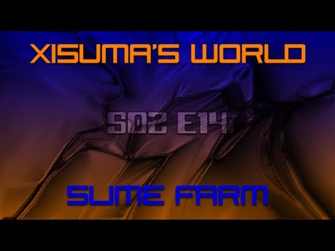 Xisuma's World S02 E14 Slime Farm