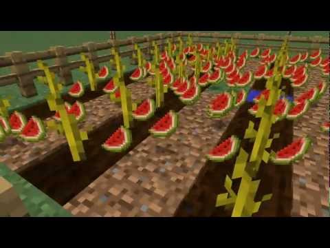 Semi-automatic Melon Farm tutorial