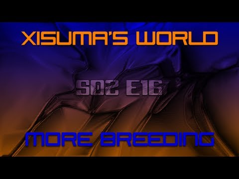Xisuma's World S02 E16 More Breeding
