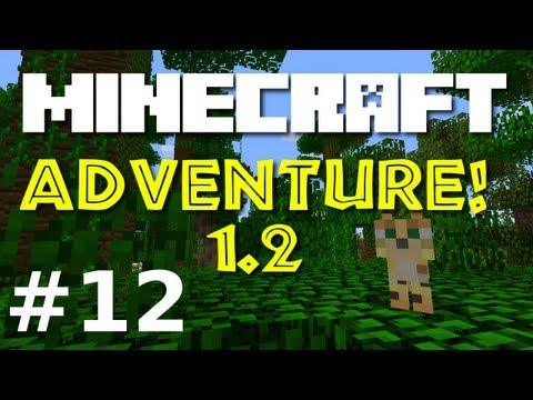 Minecraft Adventure E12 