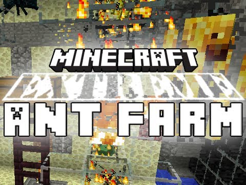 Extreme Ant Farm Survival: Episode 2 - Special Dungeon Win! [Minecraft Map]