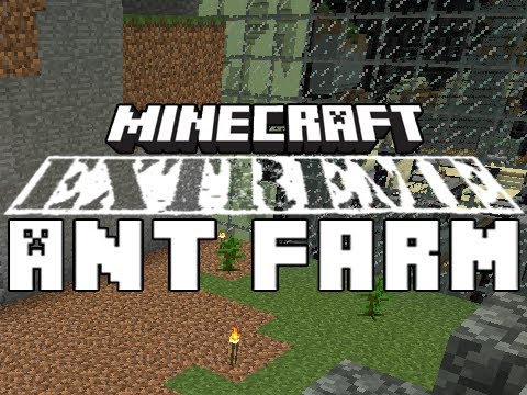 Extreme Ant Farm Survival: Episode 4 - Tree Farm!