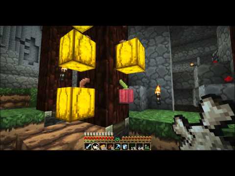 Eedze's adventures in Minecraft 74: minecon and a ton of cocoabeans