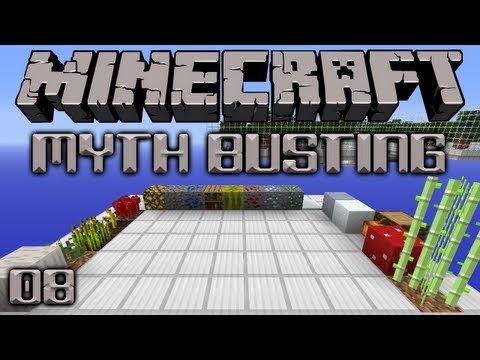 Minecraft Myth Busting 08 What Does Fortune Work On?