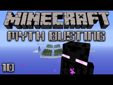 Minecraft Myth Busting 10 What Blocks Can Endermen Teleport To?