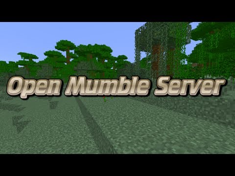 Announcing the Crew's Open Mumble Server