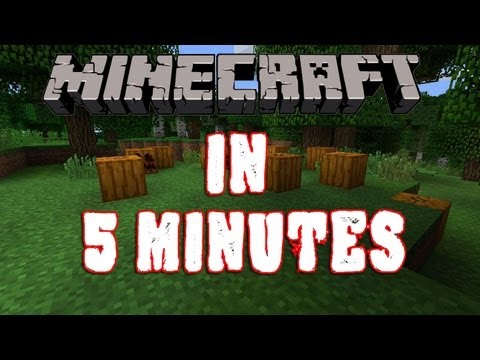 #Minecraft in 5 minutes